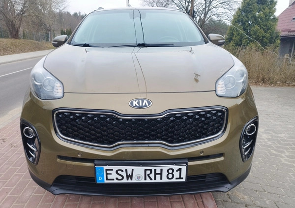 Kia Sportage cena 58000 przebieg: 113200, rok produkcji 2017 z Miastko małe 497